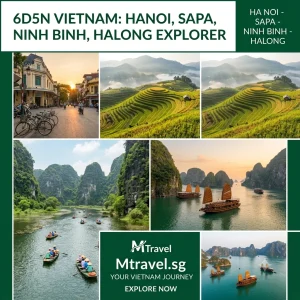 6D5N HA NOI - SAPA -  NINH BINH - HALONG